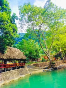 Vườn hoa Doanh Thu