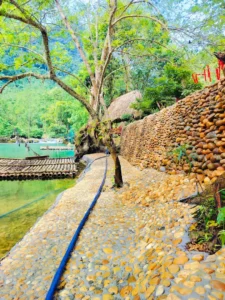 Vườn hoa Doanh Thu