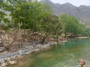 Vườn hoa Doanh Thu