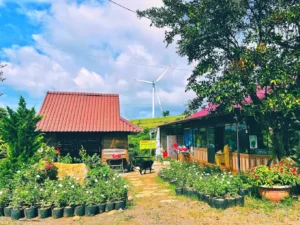 HoMestay Bảo Nguyên Xanh