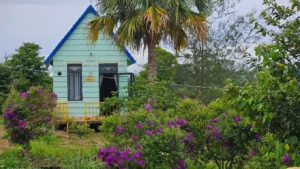 HoMestay Bảo Nguyên Xanh