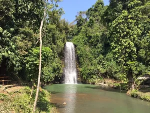 Măng Đen Discovery Retreat