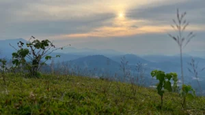 Núi Bù Xèo - Thường Xuân - Thanh Hoá