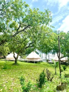 Sunny Garden Camping