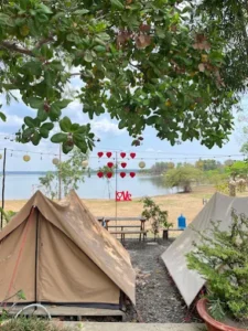 Sunny Garden Camping
