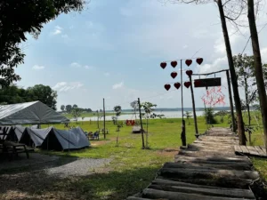 Sunny Garden Camping