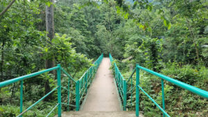 Vườn Quốc Gia Phước Bình