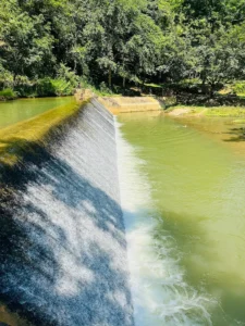 Hang cá thần Văn Nho