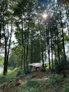 Khu camping Hồ Thủy Điện Đa M'ri