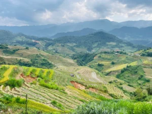 La Pan Tan Viewpoint