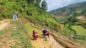 La Pan Tan Viewpoint