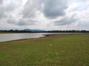 Bãi Bồi Tiên Sơn