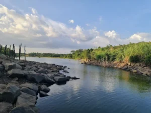 Covy Farm Vũng Tàu