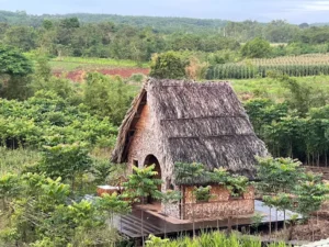 Covy Farm Vũng Tàu