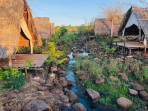 Covy Farm Vũng Tàu