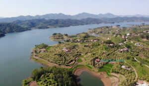 Đảo trên Hồ Cấm Sơn