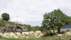 Hồ Thuỷ Điện Buôn Tua Srah bãi 2