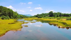 Lò Thung Tiên Cảnh