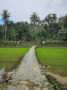 Lò Thung Tiên Cảnh