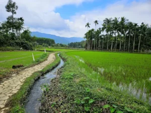 Lò Thung Tiên Cảnh