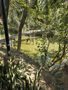 Lữ Gia Xẻo Nhum