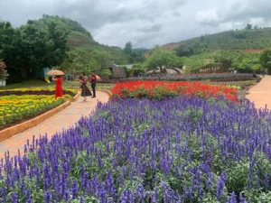 Mộc Châu Happy Land