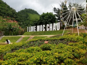 Mộc Châu Happy Land