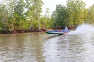 Rừng Đước Đất Mũi