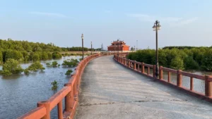 Rừng Đước Đất Mũi