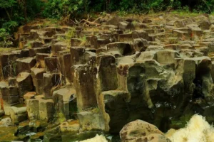 Suối Đá Đĩa Nam Trung