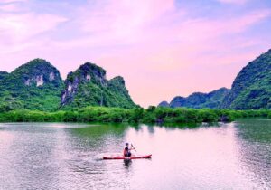 rừng ngập mặn Cát Bà