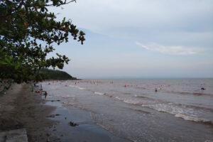 Bãi biển khu 295