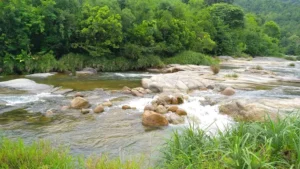 Bãi tắm Suối Dầu