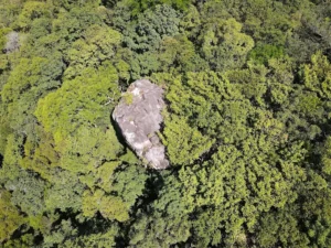 Đỉnh núi Đá Bạc