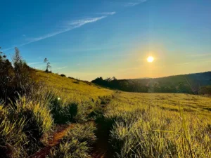 Đồi Cỏ Măng Đen