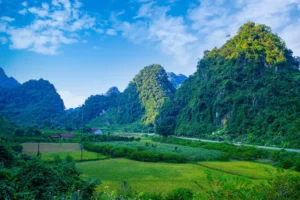 Khu Bảo Tồn Thiên Nhiên Hữu Liên