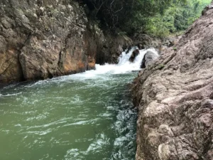 Khu Sinh Thái Suối Vàng