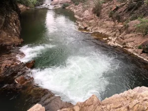 Khu Sinh Thái Suối Vàng