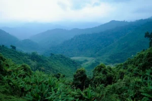 Khu bảo tồn Sao La