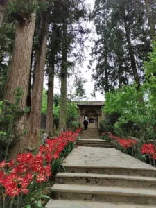 Nhà Văn hoá thôn Séo Lủng