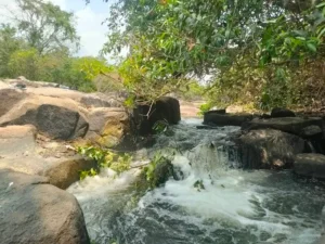 Suối Mơ Đa Lộc