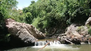 Khu Sinh Thái Suối Vàng