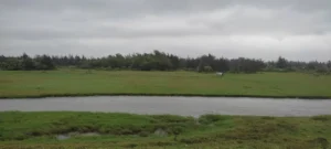 Bãi biển Xuân Đan