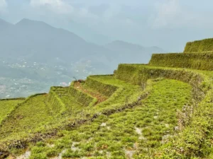 Bản Hang Đá - Sa Pa - Lào Cai