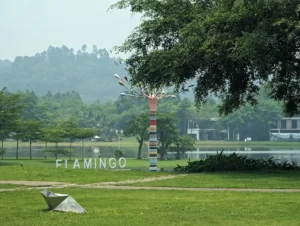 Đồi Thông Flamingo