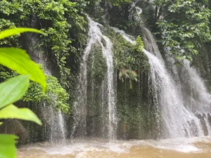 Khu Bảo Tồn Thiên Nhiên Thần Sa