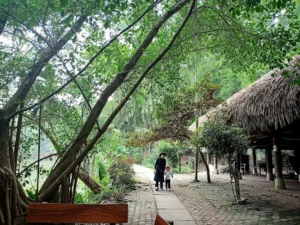 Khu bảo tồn Làng nhà sàn Dân tộc Sinh thái Thái Hải