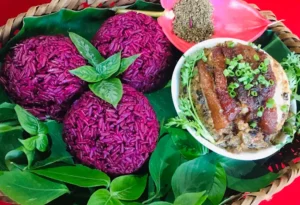 Khu bảo tồn Làng nhà sàn Dân tộc Sinh thái Thái Hải