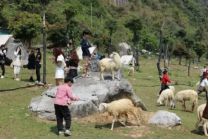 Man's Farm