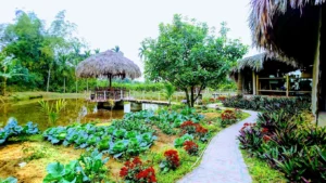 Múa Rối Nước 01 Yên Đức